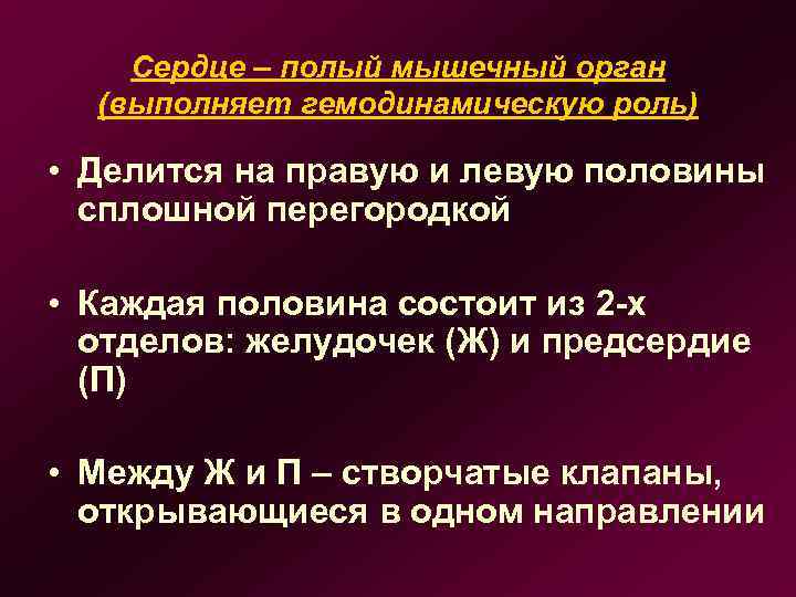 Сердце – полый мышечный орган (выполняет гемодинамическую роль) • Делится на правую и левую