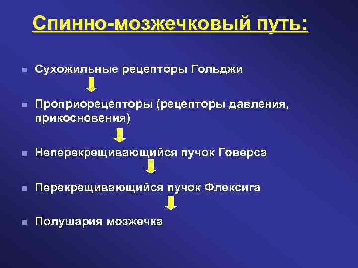 Спинно-мозжечковый путь: Сухожильные рецепторы Гольджи Проприорецепторы (рецепторы давления, прикосновения) Неперекрещивающийся пучок Говерса Перекрещивающийся пучок