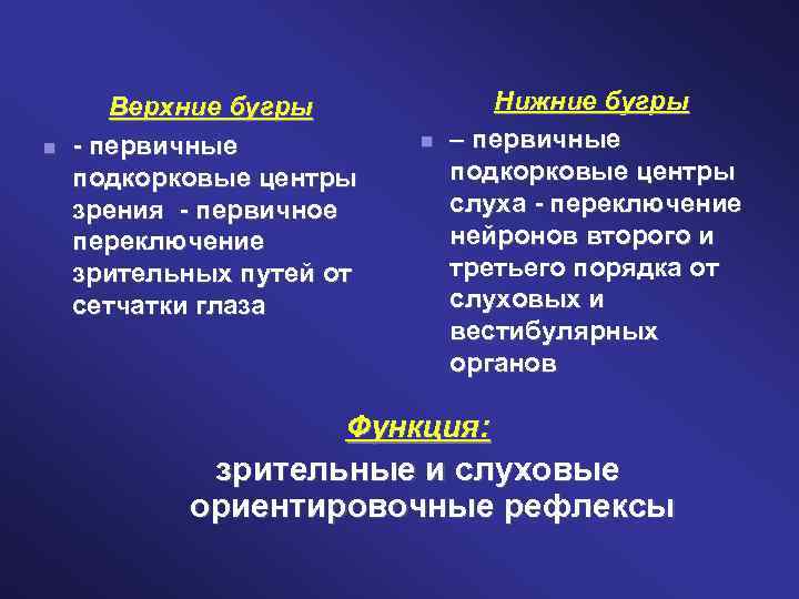  Верхние бугры - первичные подкорковые центры зрения - первичное переключение зрительных путей от