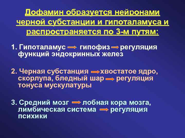 Дофамин образуется нейронами черной субстанции и гипоталамуса и распространяется по 3 -м путям: 1.