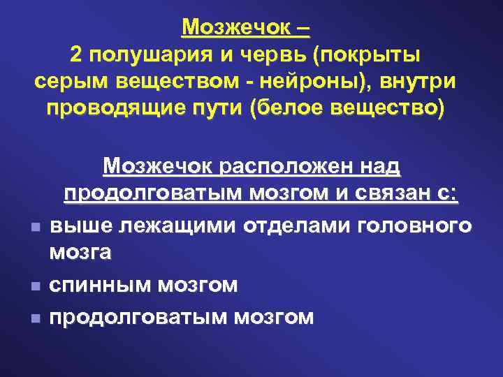 Мозжечок – 2 полушария и червь (покрыты серым веществом - нейроны), внутри проводящие пути