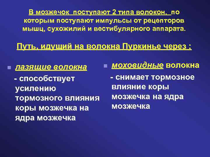 В мозжечок поступают 2 типа волокон, по которым поступают импульсы от рецепторов мышц, сухожилий