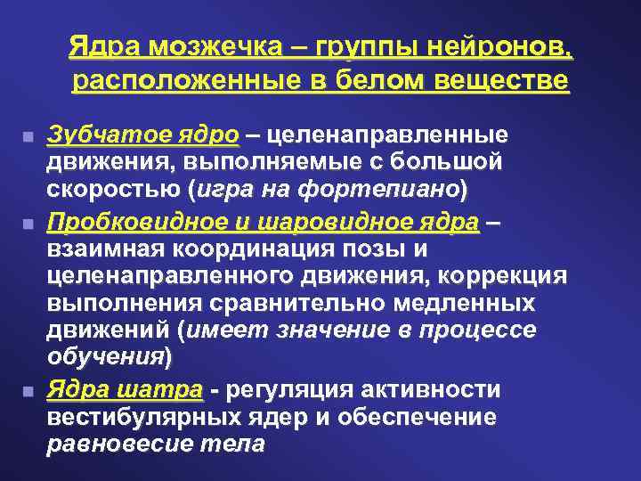 Ядра мозжечка – группы нейронов, расположенные в белом веществе Зубчатое ядро – целенаправленные движения,
