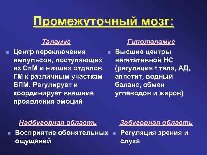 Промежуточный мозг: Таламус Центр переключения импульсов, поступающих из Сп. М и низших отделов ГМ
