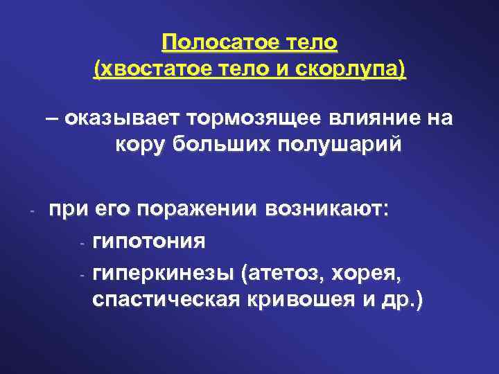 Полосатое тело (хвостатое тело и скорлупа) – оказывает тормозящее влияние на кору больших полушарий