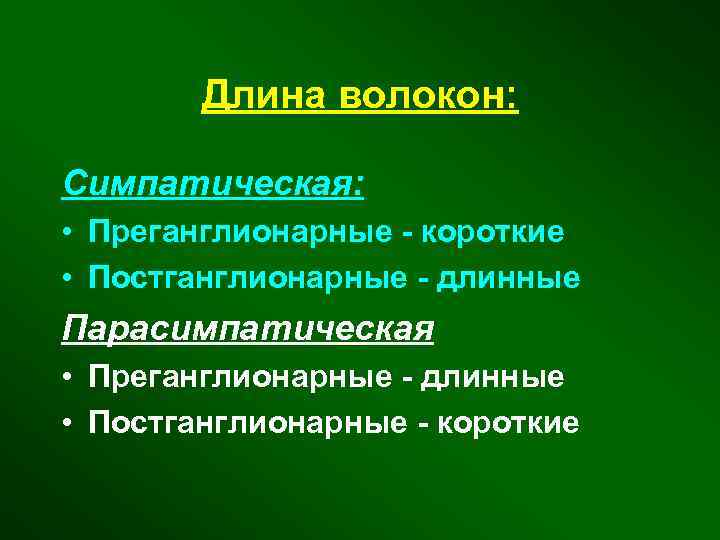 Длина волокон: Симпатическая: • Преганглионарные - короткие • Постганглионарные - длинные Парасимпатическая • Преганглионарные