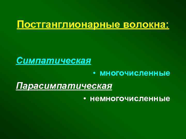 Постганглионарные волокна: Симпатическая • многочисленные Парасимпатическая • немногочисленные 