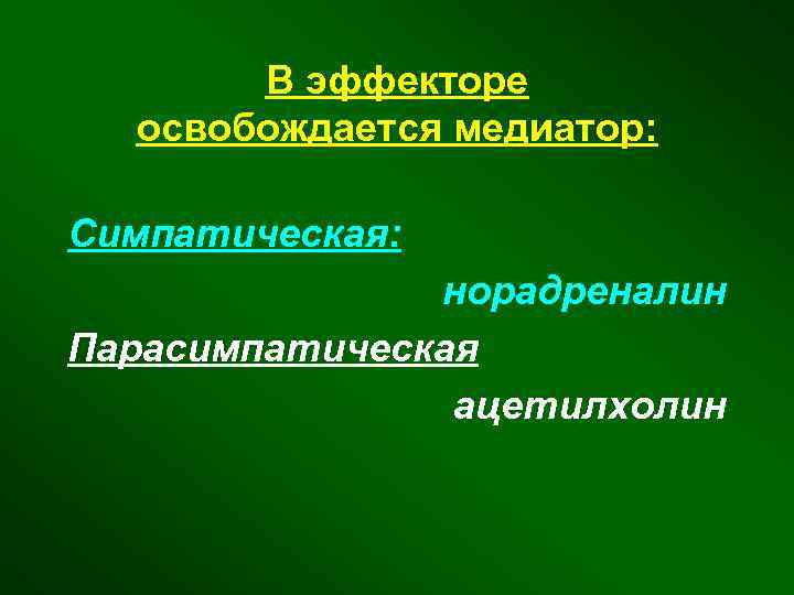 В эффекторе освобождается медиатор: Симпатическая: норадреналин Парасимпатическая ацетилхолин 