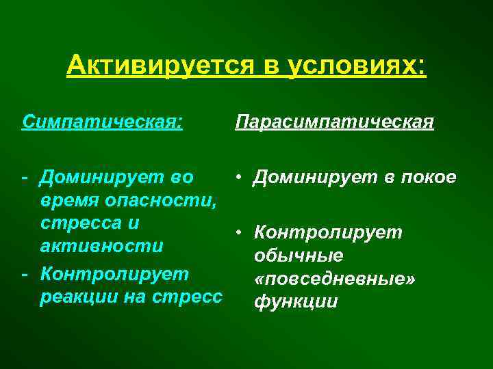 Активируется в условиях: Симпатическая: Парасимпатическая - Доминирует во • Доминирует в покое время опасности,