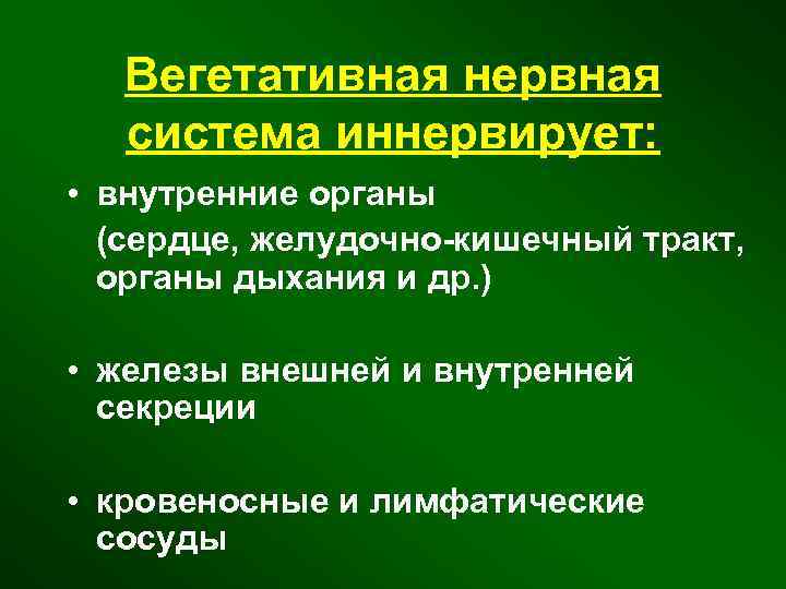 Вегетативная нервная система иннервирует: • внутренние органы (сердце, желудочно-кишечный тракт, органы дыхания и др.