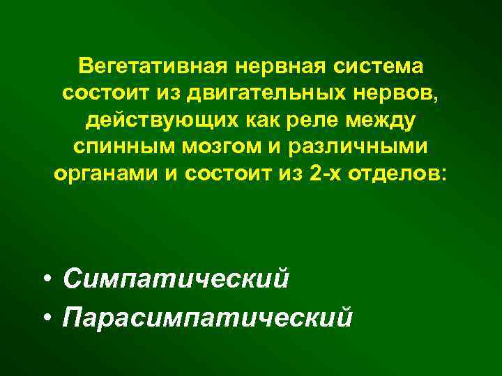 Вегетативная нервная система состоит из двигательных нервов, действующих как реле между спинным мозгом и