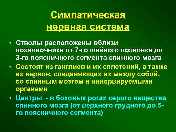 Симпатическая нервная система • Стволы расположены вблизи позвоночника от 7 -го шейного позвонка до