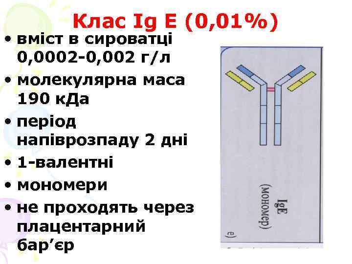 Клас Ig Е (0, 01%) • вміст в сироватці 0, 0002 -0, 002 г/л