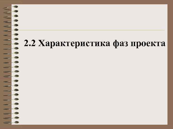 2. 2 Характеристика фаз проекта 