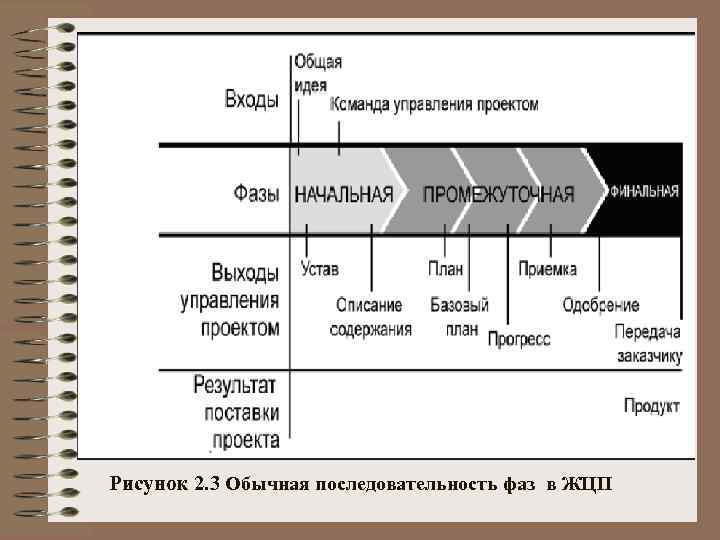 Tsnakeman net ua поддержка проекта