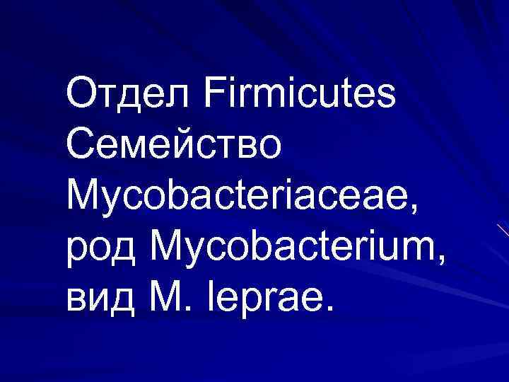 Отдел Firmicutes Семейство Mycobacteriaceae, род Mycobacterium, вид М. leprae. 