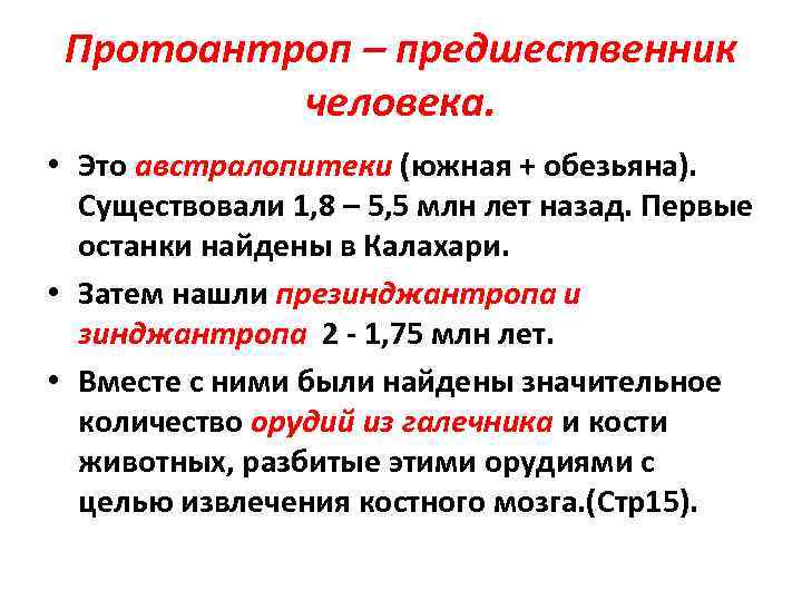 Протоантроп – предшественник человека. • Это австралопитеки (южная + обезьяна). Существовали 1, 8 –