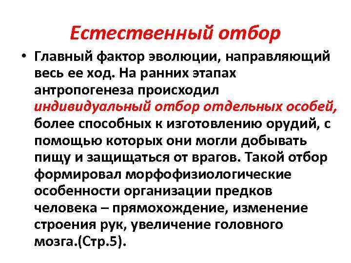 Естественный отбор направляющий фактор эволюции презентация 11 класс