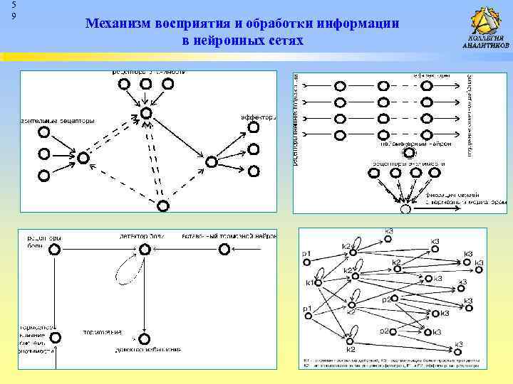 5 9 Механизм восприятия и обработки информации в нейронных сетях 
