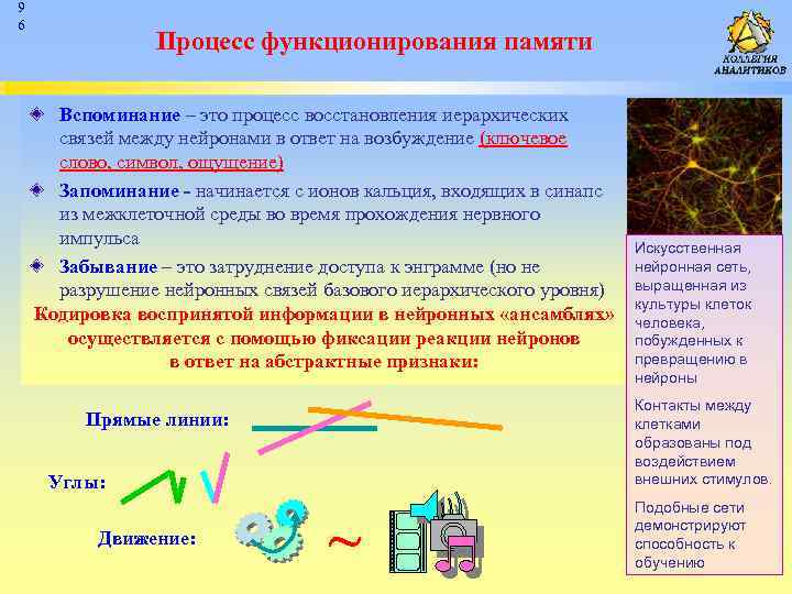 9 6 Процесс функционирования памяти Вспоминание – это процесс восстановления иерархических связей между нейронами