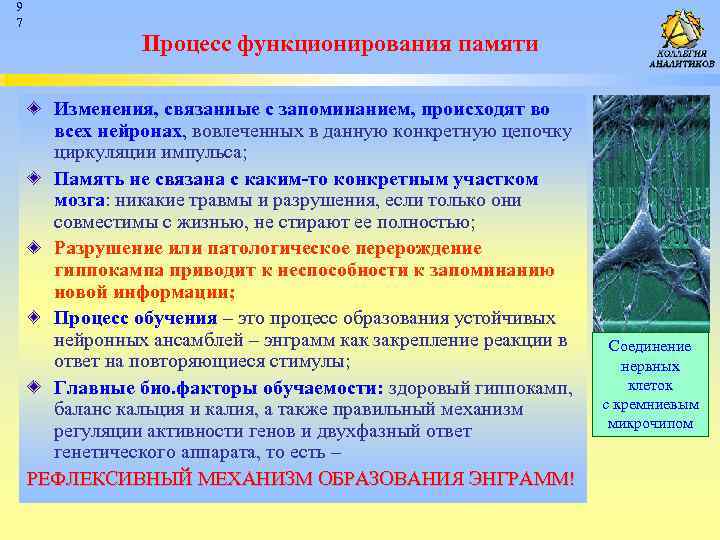 9 7 Процесс функционирования памяти Изменения, связанные с запоминанием, происходят во всех нейронах, вовлеченных