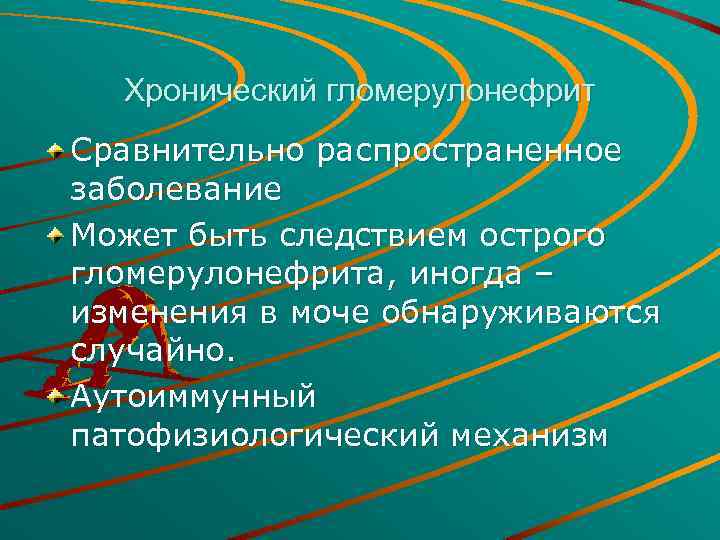 Хронический гломерулонефрит Сравнительно распространенное заболевание Может быть следствием острого гломерулонефрита, иногда – изменения в