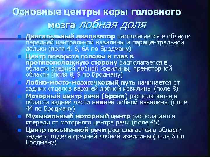 Основные центры коры головного мозга лобная доля n n n Двигательный анализатор располагается в