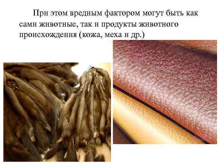 При этом вредным фактором могут быть как сами животные, так и продукты животного происхождения