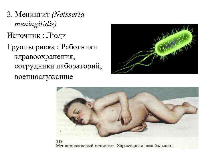 3. Менингит (Neisseria meningitidis) Источник : Люди Группы риска : Работники здравоохранения, сотрудники лабораторий,