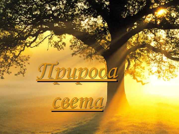 Природа света 