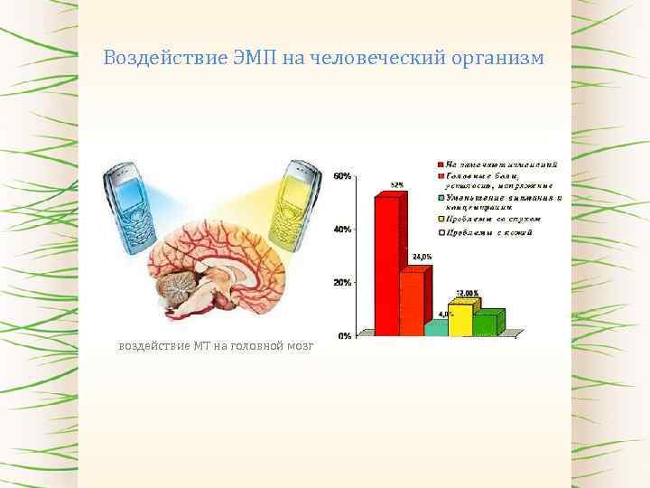 Воздействие ЭМП на человеческий организм воздействие МТ на головной мозг 