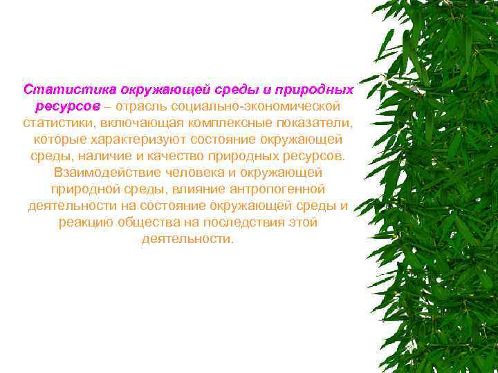 Статистика окружающей среды и природных ресурсов – отрасль социально-экономической статистики, включающая комплексные показатели, которые
