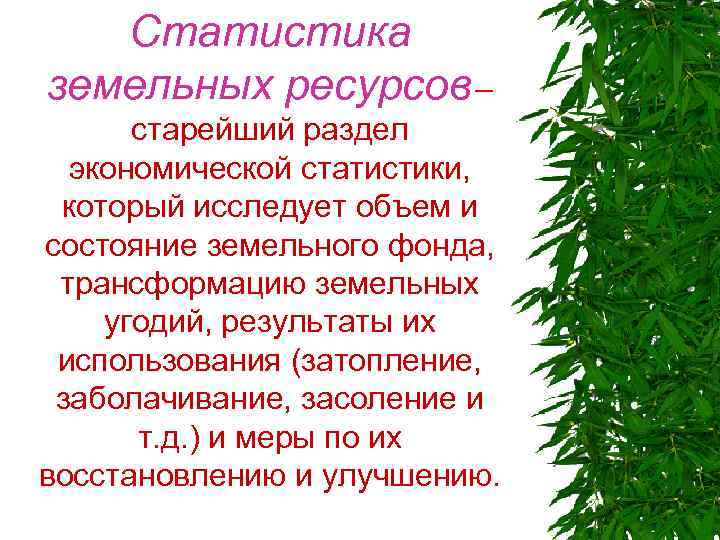 Статистика земельных ресурсов – старейший раздел экономической статистики, который исследует объем и состояние земельного