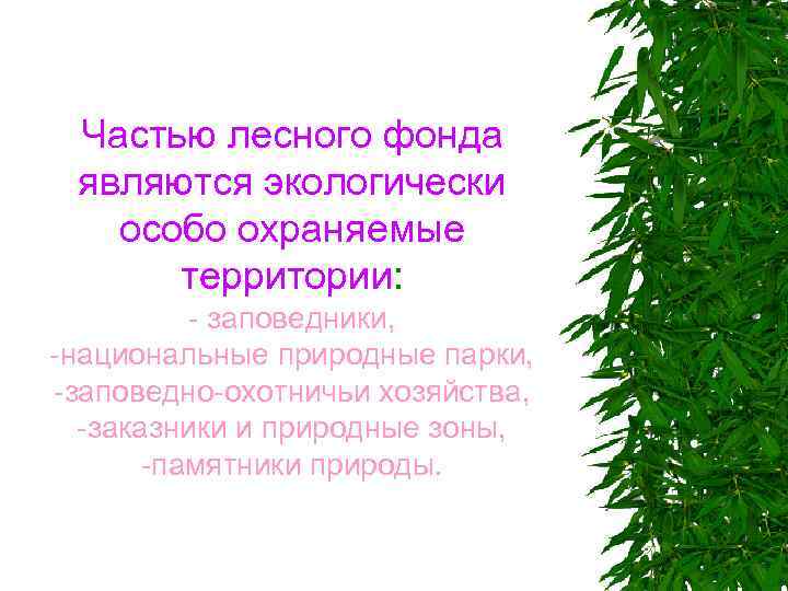 Частью лесного фонда являются экологически особо охраняемые территории: - заповедники, -национальные природные парки, -заповедно-охотничьи