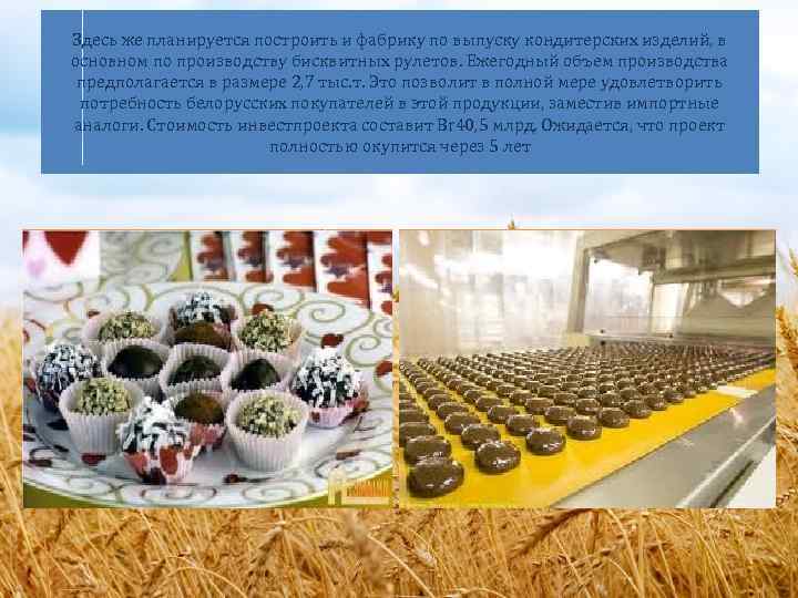 Здесь же планируется построить и фабрику по выпуску кондитерских изделий, в основном по производству