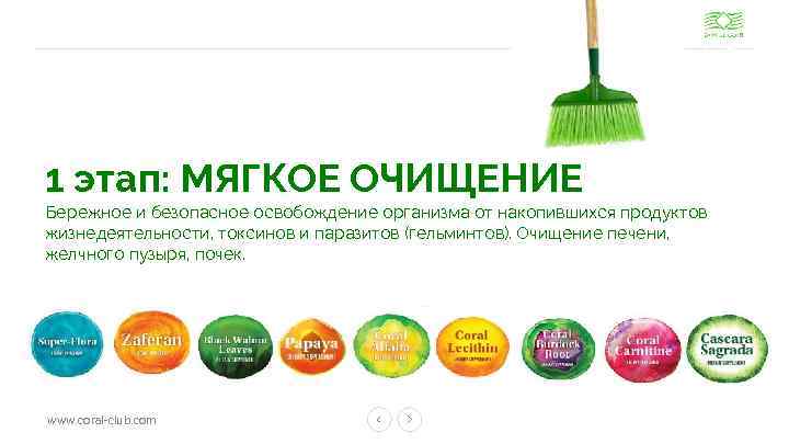 1 этап: МЯГКОЕ ОЧИЩЕНИЕ Бережное и безопасное освобождение организма от накопившихся продуктов жизнедеятельности, токсинов
