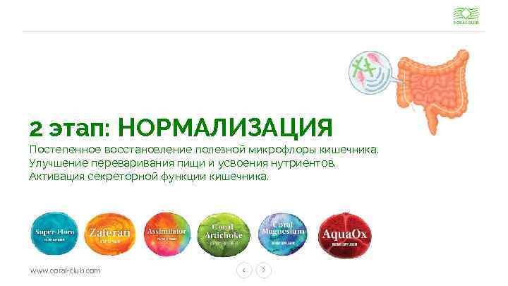 2 этап: НОРМАЛИЗАЦИЯ Постепенное восстановление полезной микрофлоры кишечника. Улучшение переваривания пищи и усвоения нутриентов.