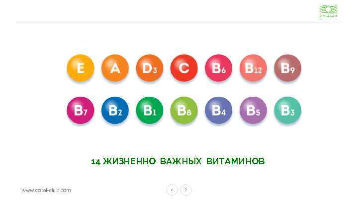 14 ЖИЗНЕННО ВАЖНЫХ ВИТАМИНОВ www. coral-club. com 