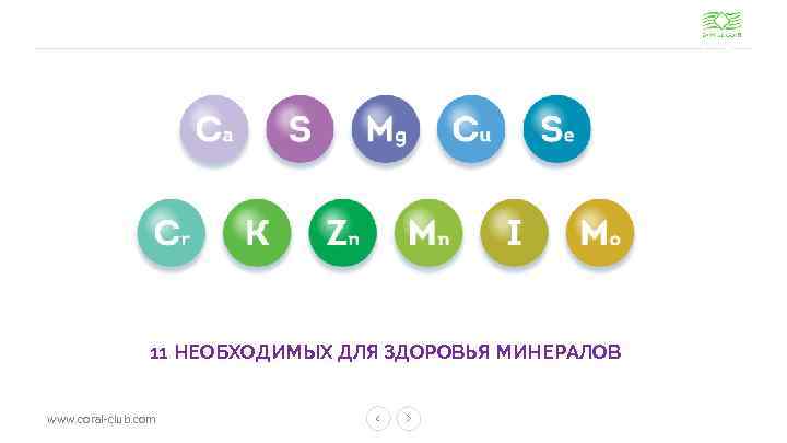 11 НЕОБХОДИМЫХ ДЛЯ ЗДОРОВЬЯ МИНЕРАЛОВ www. coral-club. com 