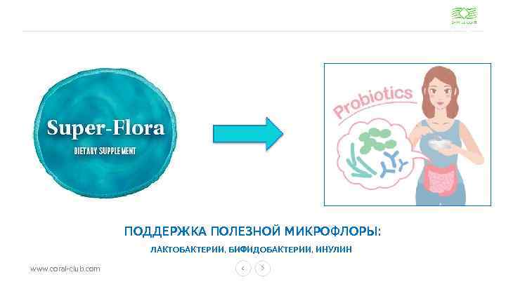 ПОДДЕРЖКА ПОЛЕЗНОЙ МИКРОФЛОРЫ: ЛАКТОБАКТЕРИИ, БИФИДОБАКТЕРИИ, ИНУЛИН www. coral-club. com 