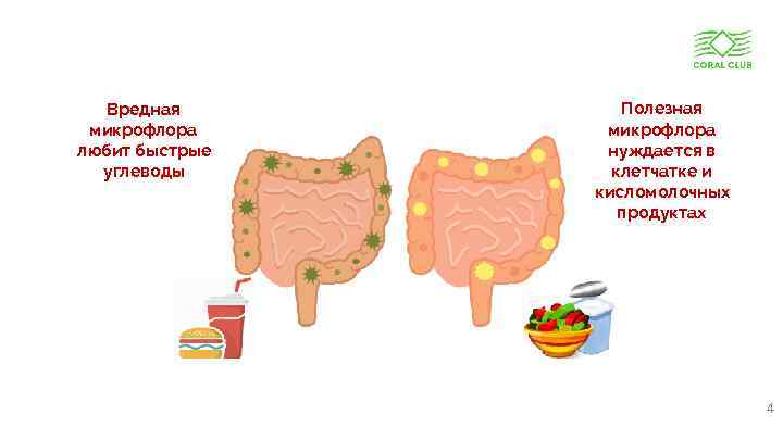 Вредная микрофлора любит быстрые углеводы www. coral-club. com Полезная микрофлора нуждается в клетчатке и