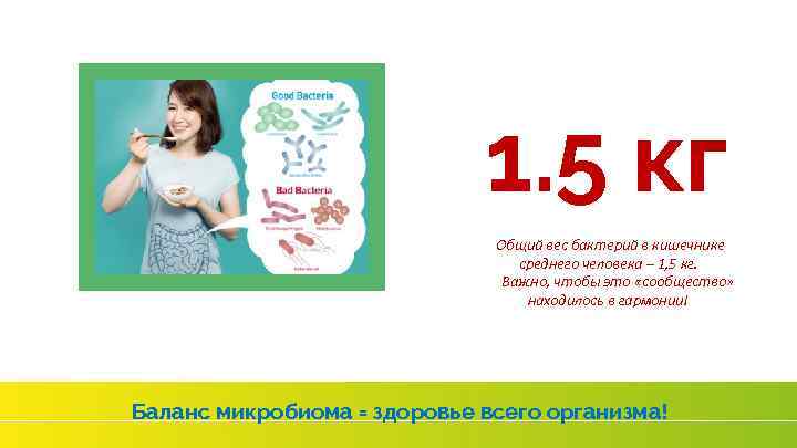 1. 5 кг Общий вес бактерий в кишечнике среднего человека – 1, 5 кг.