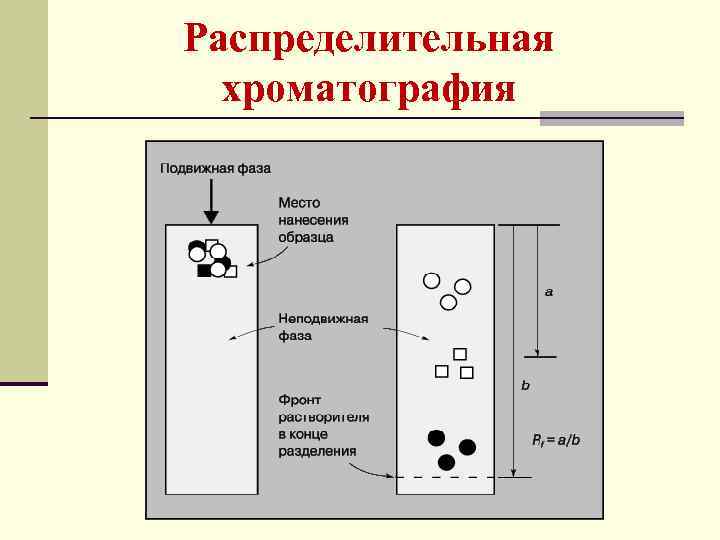 Распределительная хроматография 