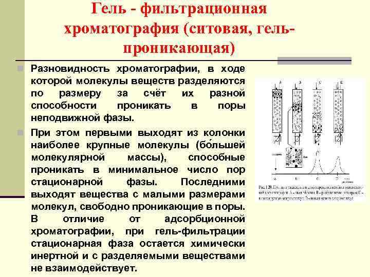 Гель - фильтрационная хроматография (ситовая, гельпроникающая) n Разновидность хроматографии, в ходе которой молекулы веществ