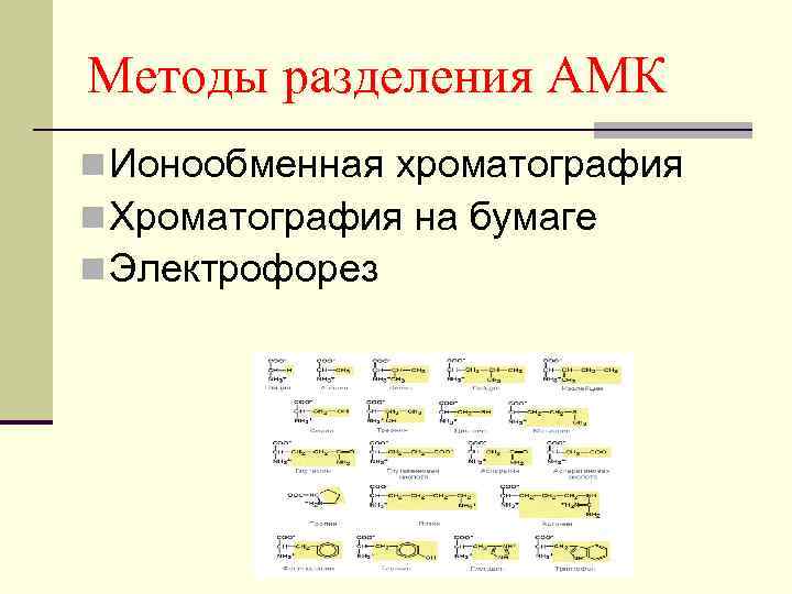 Методы разделения АМК n Ионообменная хроматография n Хроматография на бумаге n Электрофорез 