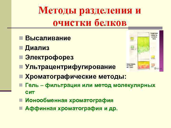 Методы очистки белков. Гель фильтрация ультрацентрифугирование. Нуклеиновые кислоты аффинная хроматография. Аффинная очистка белков.