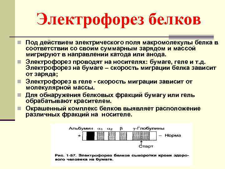 Цель электрофореза. Электрофорез белков принцип метода. Электрофорез белка. Электрофорез белков мочи норма.