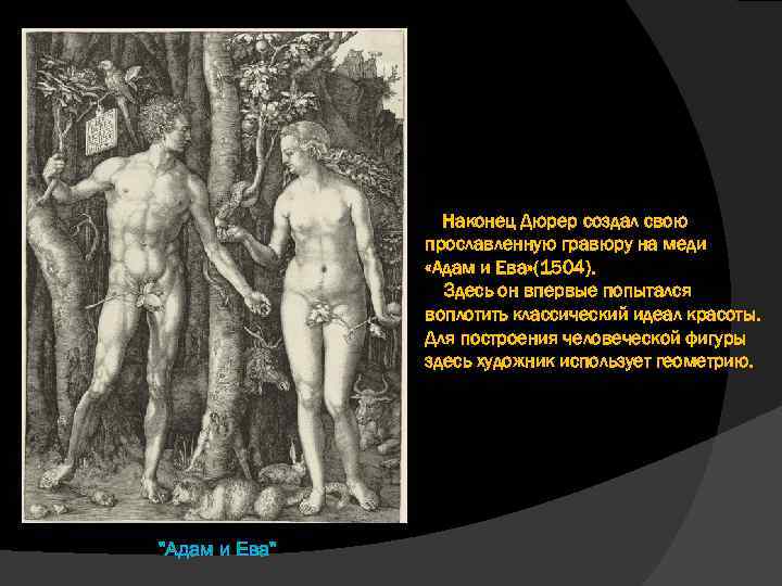 Наконец Дюрер создал свою прославленную гравюру на меди «Адам и Ева» (1504). Здесь он