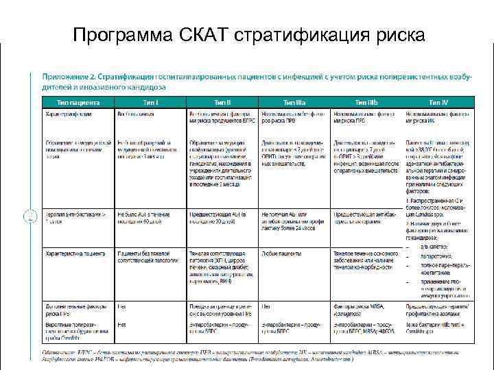 Программа СКАТ стратификация риска 