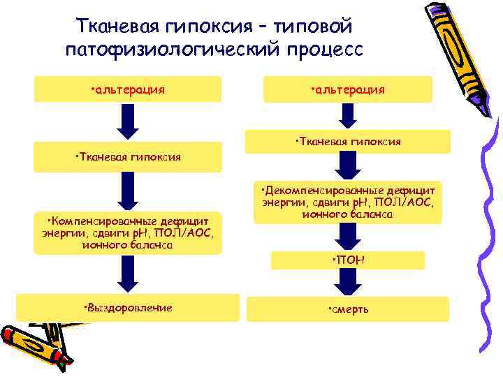 Тканевая гипоксия – типовой патофизиологический процесс • альтерация • Тканевая гипоксия • Компенсированные дефицит